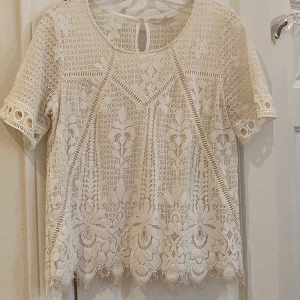 Sheer lace shirt sleeve blouse